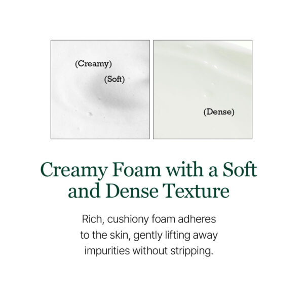 68930f5284259a7680620eb54983aa8343eeed2d4aa40843301c5.jpg ROUND LAB 1025 Dokdo Cleanser 5.07 Fl Oz, Low pH Facial Cleanser for Sensitive Skin, Rich Soft Bubbles for Deep Cleansing and Makeup Removal, Hydrating Face Wash with Deep Sea Water, Korean Skin Care