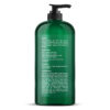 Botanic Hearth Tea Tree Shampoo, Vitamin C, Peppermint, Lavender And Rosemary Oil, Fights Dandruff And Dry Scalp, 16 Fl Oz