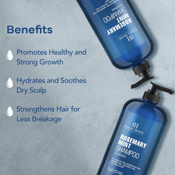 Botanic Hearth Tea Tree Shampoo, Vitamin C, Peppermint, Lavender And Rosemary Oil, Fights Dandruff And Dry Scalp, 16 Fl Oz