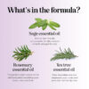 689317a5d970ea7b83c1e685f12e611e11f10986777cfbc06d5cf.jpg Sage and Rosemary Shampoo Sulfate Free - Sage Oil Clarifying Shampoo for Build Up and Scalp Moisturizer - Oily Hair Shampoo for Greasy Hair and Dry Scalp Treatment with Essential Oils for Hair