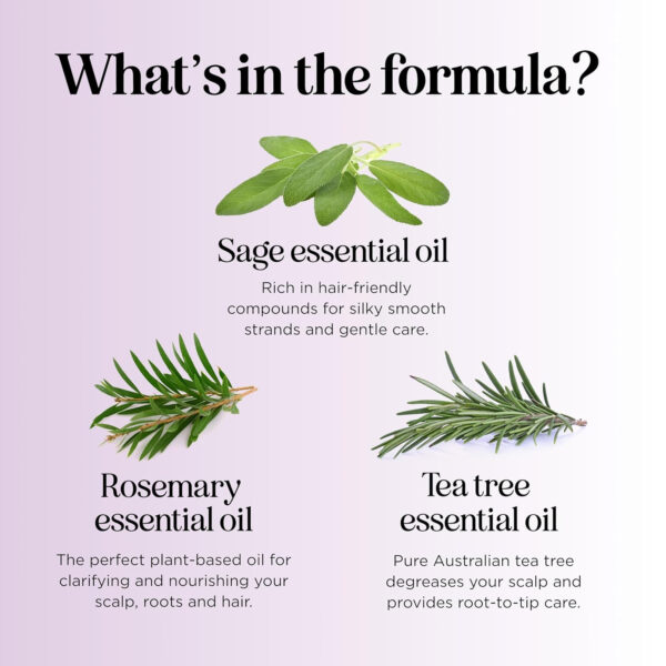 689317a5d970ea7b83c1e685f12e611e11f10986777cfbc06d5cf.jpg Sage and Rosemary Shampoo Sulfate Free - Sage Oil Clarifying Shampoo for Build Up and Scalp Moisturizer - Oily Hair Shampoo for Greasy Hair and Dry Scalp Treatment with Essential Oils for Hair