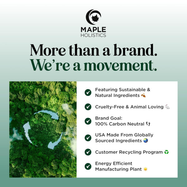 689318574f5e7a9260d55f470617a2f68593e12162d012efeb88c.jpg Volumizing Biotin and Rosemary Shampoo - Vegan Rosemary Biotin Shampoo for Thinning Hair for Women and Men with Nourishing B Vitamins & Tea Tree Oil - Paraben Silicone & Sulfate Free (16 Fl Oz)