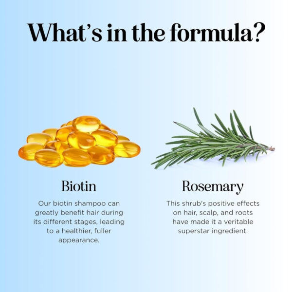 6893186abd6231d7796712be9576dd8409c89a9f35fcdf9068cbc.jpg Volumizing Biotin and Rosemary Shampoo - Vegan Rosemary Biotin Shampoo for Thinning Hair for Women and Men with Nourishing B Vitamins & Tea Tree Oil - Paraben Silicone & Sulfate Free (16 Fl Oz)