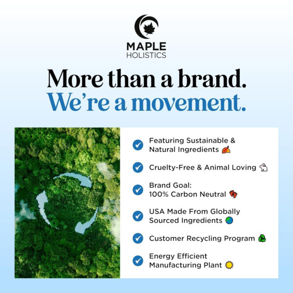 68931875a4861869739543379b64346b5c86a1aea200bf63d48d6.jpg Volumizing Biotin and Rosemary Shampoo - Vegan Rosemary Biotin Shampoo for Thinning Hair for Women and Men with Nourishing B Vitamins & Tea Tree Oil - Paraben Silicone & Sulfate Free (16 Fl Oz)