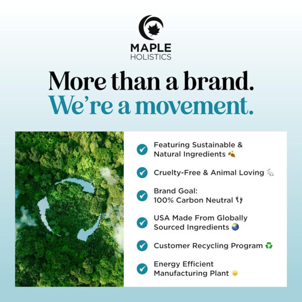 6893188547370c6cbf9da1bee89290fe555e295ef80fea4f83a6b.jpg Volumizing Biotin and Rosemary Shampoo - Vegan Rosemary Biotin Shampoo for Thinning Hair for Women and Men with Nourishing B Vitamins & Tea Tree Oil - Paraben Silicone & Sulfate Free (16 Fl Oz)