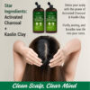First Botany Tea Tree Mint Shampoo & Conditioner for Men & Women - Pure Tea Tree & Peppermint Oil - Fights Hair Loss, Dandruff, Lice & Itchy Scalp, Promotes Hair Growth - Sulfate Free - 16 Fl Oz x 2