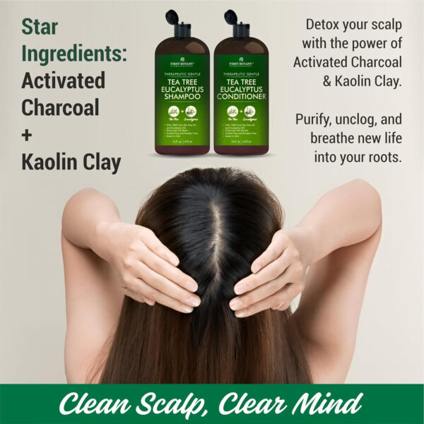 First Botany Tea Tree Mint Shampoo & Conditioner for Men & Women - Pure Tea Tree & Peppermint Oil - Fights Hair Loss, Dandruff, Lice & Itchy Scalp, Promotes Hair Growth - Sulfate Free - 16 Fl Oz x 2