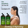 First Botany Tea Tree Mint Shampoo & Conditioner for Men & Women - Pure Tea Tree & Peppermint Oil - Fights Hair Loss, Dandruff, Lice & Itchy Scalp, Promotes Hair Growth - Sulfate Free - 16 Fl Oz x 2