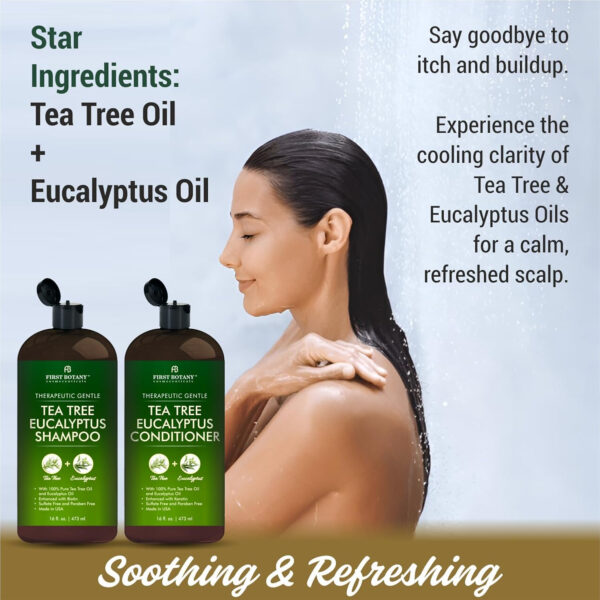 First Botany Tea Tree Mint Shampoo & Conditioner for Men & Women - Pure Tea Tree & Peppermint Oil - Fights Hair Loss, Dandruff, Lice & Itchy Scalp, Promotes Hair Growth - Sulfate Free - 16 Fl Oz x 2