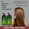 First Botany Tea Tree Mint Shampoo & Conditioner for Men & Women - Pure Tea Tree & Peppermint Oil - Fights Hair Loss, Dandruff, Lice & Itchy Scalp, Promotes Hair Growth - Sulfate Free - 16 Fl Oz x 2