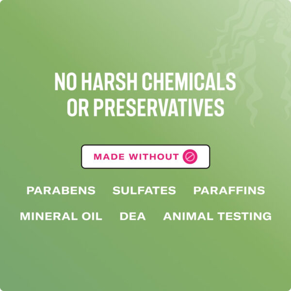 Mielle Organics Rosemary Mint Strengthening Hair Conditioner - Detangling & Hydrating Conditioner to Help Increase Manageability - Infused with Biotin to Support Longer, Healthier Strands (12 oz)