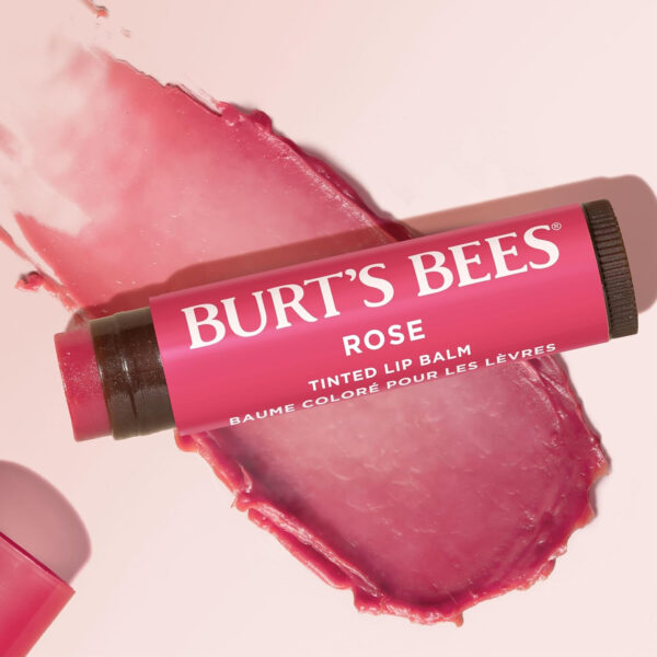 689327b83f967c0bf7e1897554f8e056d3d04a91a0276988607dc.jpg Burt's Bees Lip Tint Balm with Long Lasting 2 in 1 Duo Tinted Balm Formula, Color Infused with Deeply Hydrating Shea Butter for a Natural Looking Buildable Finish, Petal Rose (2-Pack)