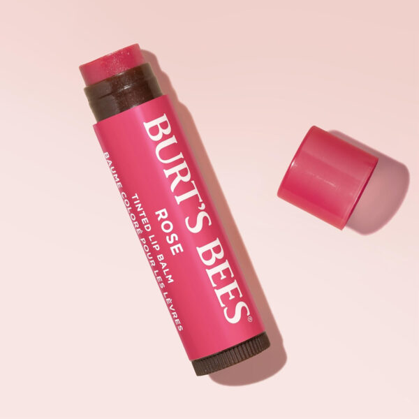 689327ba226374d59ec844150a8375a6cff0d8c08f0ca056534d2.jpg Burt's Bees Lip Tint Balm with Long Lasting 2 in 1 Duo Tinted Balm Formula, Color Infused with Deeply Hydrating Shea Butter for a Natural Looking Buildable Finish, Petal Rose (2-Pack)