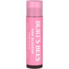 689327c5b1da54be980d0e13792b96faabd5609911858618dc765.jpg Burt's Bees Lip Tint Balm with Long Lasting 2 in 1 Duo Tinted Balm Formula, Color Infused with Deeply Hydrating Shea Butter for a Natural Looking Buildable Finish, Petal Rose (2-Pack)