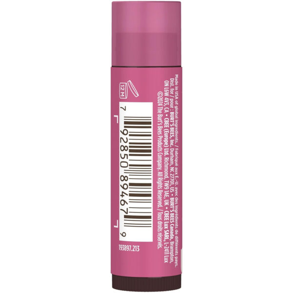 689327cd4fc886c604f6e954b2f646c4e0b1bbfc126f454a142be.jpg Burt's Bees Lip Tint Balm with Long Lasting 2 in 1 Duo Tinted Balm Formula, Color Infused with Deeply Hydrating Shea Butter for a Natural Looking Buildable Finish, Petal Rose (2-Pack)