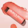 689327d1d05430cd5fe7a5092687d9c14ed8bcfeafbabac2474af.jpg Burt's Bees Lip Tint Balm with Long Lasting 2 in 1 Duo Tinted Balm Formula, Color Infused with Deeply Hydrating Shea Butter for a Natural Looking Buildable Finish, Petal Rose (2-Pack)