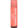689327d2c95642c5170587ae306d81c1db0fb629b6d91f642e2f5.jpg Burt's Bees Lip Tint Balm with Long Lasting 2 in 1 Duo Tinted Balm Formula, Color Infused with Deeply Hydrating Shea Butter for a Natural Looking Buildable Finish, Petal Rose (2-Pack)