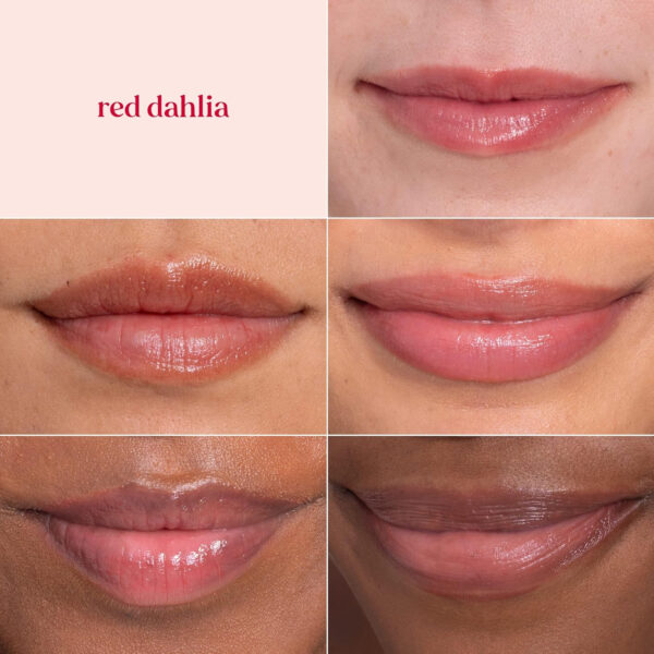 689327d78be9d8dd22e8e3d400f5f415a49ed172cf00a79a70ca2.jpg Burt's Bees Lip Tint Balm with Long Lasting 2 in 1 Duo Tinted Balm Formula, Color Infused with Deeply Hydrating Shea Butter for a Natural Looking Buildable Finish, Petal Rose (2-Pack)