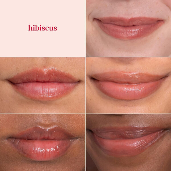 689327ddb825585ba7f863c2975b7eb40922e9f988df188b668c4.jpg Burt's Bees Lip Tint Balm with Long Lasting 2 in 1 Duo Tinted Balm Formula, Color Infused with Deeply Hydrating Shea Butter for a Natural Looking Buildable Finish, Petal Rose (2-Pack)