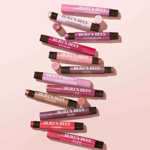 Burt's Bees Lip Shimmer Nude Collection, Tinted Lip Balm Stick, Moisturizing for All Day Hydration with Natural Glowy Pigmented Finish & Buildable Color, 3 Warm Shades Value Pack, 3 Tubes x 0.09 Oz