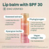 ATTITUDE Oceanly Tinted Lip Balm with SPF 30, EWG Verified, Plastic-Free, Broad Spectrum UVA/UVB Protection with Zinc Oxide, Vegan, Unscented, Baby Rose, 0.3 Ounce
