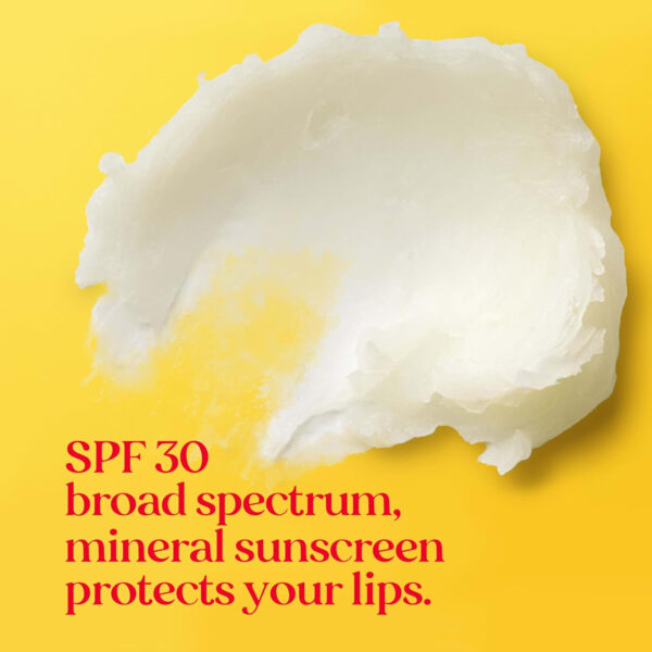 68932a6a5fda93480218b2d6cf5d42fe566630abf8fb0bd7af871.jpg Burt’s Bees SPF 30 Lip Balm, Island Getaway - Coco Loco, Beaches & Cream, Tropic Like It's Hot, Water-Resistant Sun Care, Natural Origin Lip Treatment, 3 Tubes, 0.15 oz