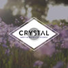 68932c89070cd274d7d4b60077f39d70a7b17c7bb9834e27e1b94.jpg CRYSTAL Deodorant Aluminum Free Mineral Deodorant Roll-On for Women & Men, Lavender & White Tea - Paraben Free - Certified Cruelty Free & Vegan Deodorant - Prevents Odor Up to 24 Hours ,2.25 Fl Oz (Pack of 3),21661-3