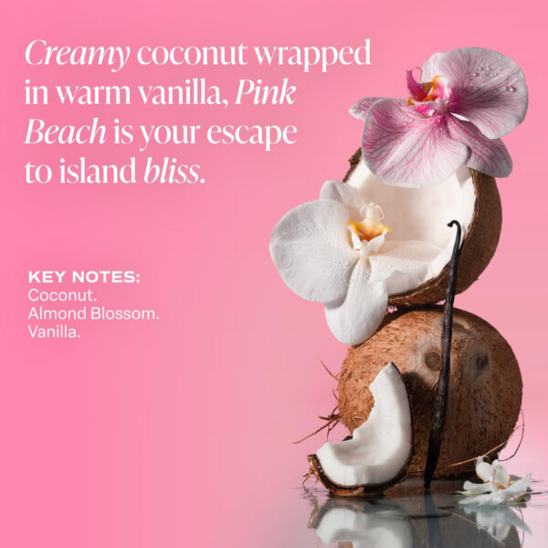 Saltair Serum Deodorant Signature Scents 2 Pack. 5% AHA Formula. Lactic Acid and Mandelic Acid Deodorant. Aluminum Free Odor Control for Women and Men. Travel Essentials, 2x 1.7oz Roll On