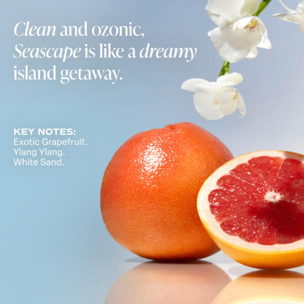 Saltair Serum Deodorant Signature Scents 2 Pack. 5% AHA Formula. Lactic Acid and Mandelic Acid Deodorant. Aluminum Free Odor Control for Women and Men. Travel Essentials, 2x 1.7oz Roll On