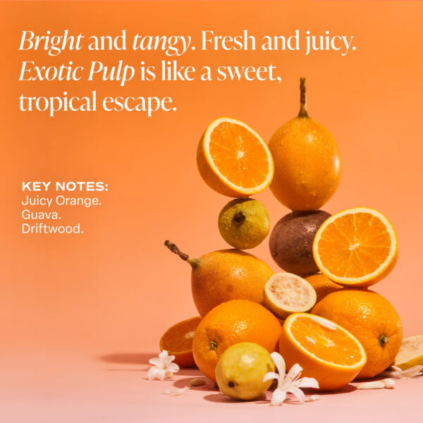 Saltair Serum Deodorant Signature Scents 2 Pack. 5% AHA Formula. Lactic Acid and Mandelic Acid Deodorant. Aluminum Free Odor Control for Women and Men. Travel Essentials, 2x 1.7oz Roll On