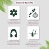 68932ff6321865cc10e08c0cd4b46a6ed385ea1fbdf6c5ae78226.jpg Hair Oil 6.76 fl oz., with Bhringraj, Amla Extract, Kalonji, Seasme, Avacado, Walnut, Thyme, Jajoba , Grape Seed & Coconut Oil 200 ml