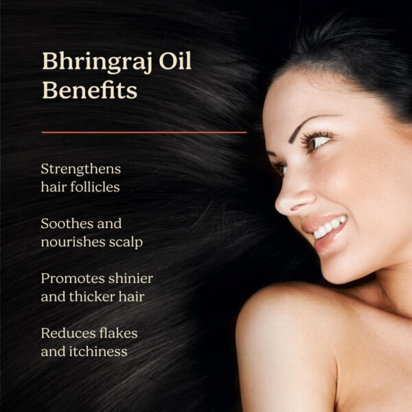 6893302e81451201cf064545e2c8c41f8dd15c7f83fc9c6a2ff87.jpg Life & Pursuits Bhringraj Hair Growth Oil 6.8 Fl Oz, Natural Ayurveda Scalp Therapy For Men & Women| Rosemary, Amla, Hibiscus, Tea Tree & Coconut| Reduces Itchiness & Dryness| Nourishes Damaged Hair