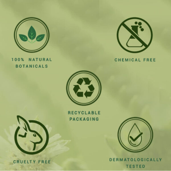 689330eaa48cc1856d1793797ca178e5f9f87b89db9e98e2e413e.jpg Biotique Bio Bhringraj Hair Oil For Falling Hair, 200 ml/6.76Fl.Oz.