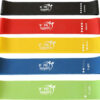 Fit Simplify Resistance Loop Exercise Bands with Instruction Guide and Carry Bag, Set of 5