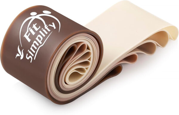 Fit Simplify Resistance Loop Exercise Bands with Instruction Guide and Carry Bag, Set of 5