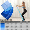 5 Pcs Professional Resistance Bands. Latex-Free, Elastic Band, Work Out Bands, Stretch Bands for Working Out Women or Men, Exercise Bands Set for Physical Therapy, Yoga, Pilates