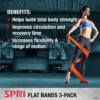 68933e256efda68b61ebdcdef3c641c6b3322373d3af754eb207c.jpg SPRI Flat Bands 3-Pack - Resistance Band Kit Set with 3 Levels of Resistance - Exercise Bands for Strength Training, Flexibility, & Body Workout - Versatile Fitness Tool - Light, Medium, and Heavy