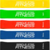 Serious Steel Fitness Mini Resistance Loop Bands | Rehab and Prehab Stretch Bands | 12" Exercise Workout Bands (Sets of 5 Pack and Sets of 10 Pack Trainer Options Available!)