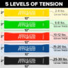 Serious Steel Fitness Mini Resistance Loop Bands | Rehab and Prehab Stretch Bands | 12" Exercise Workout Bands (Sets of 5 Pack and Sets of 10 Pack Trainer Options Available!)