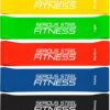 Serious Steel Fitness Mini Resistance Loop Bands | Rehab and Prehab Stretch Bands | 12" Exercise Workout Bands (Sets of 5 Pack and Sets of 10 Pack Trainer Options Available!)