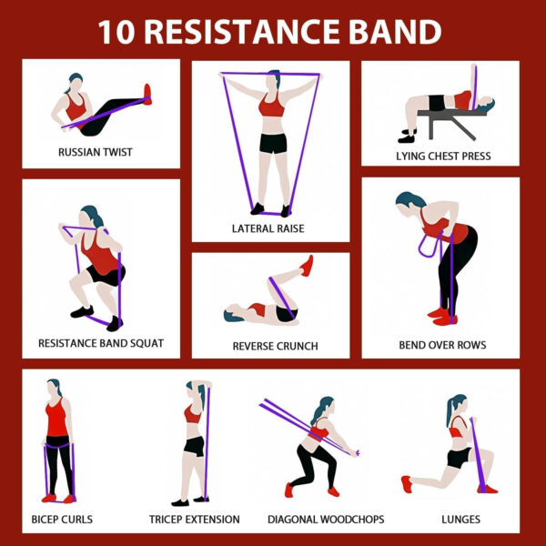 6893400a4e2c9e2ede1a6834fb6e8ca25b18102dd1bb3bdfb3abe.jpg LEEKEY Resistance Bands Set for Pull-Up Assistance & Full-Body Training, Multi-Level Exercise Bands with Bag for Home Workouts, Physical Therapy, Strength Training (Men/Women)