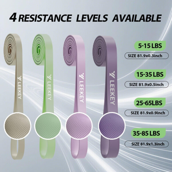 6893400cb2bc7f0014792b122187e0a81bbb438d6e251b63a2ad9.jpg LEEKEY Resistance Bands Set for Pull-Up Assistance & Full-Body Training, Multi-Level Exercise Bands with Bag for Home Workouts, Physical Therapy, Strength Training (Men/Women)