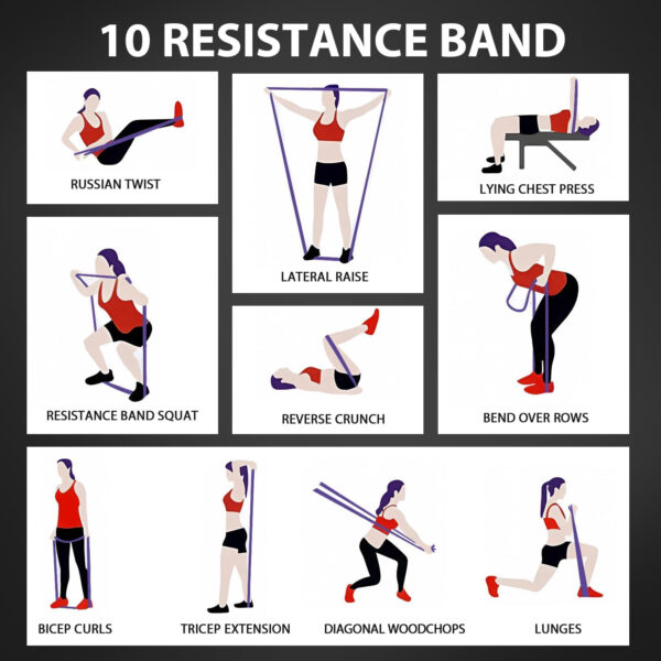689340270c601f64e995d41d970ad18f0207879222305a1e7420d.jpg LEEKEY Resistance Bands Set for Pull-Up Assistance & Full-Body Training, Multi-Level Exercise Bands with Bag for Home Workouts, Physical Therapy, Strength Training (Men/Women)