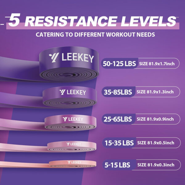 689340295c30a5e099c37d52ef93d28c2b53e270fcb89757a1d10.jpg LEEKEY Resistance Bands Set for Pull-Up Assistance & Full-Body Training, Multi-Level Exercise Bands with Bag for Home Workouts, Physical Therapy, Strength Training (Men/Women)