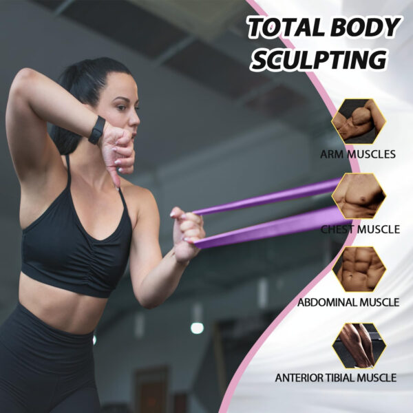 68934032ad801fd45970fd6688c32c57b0459170a3d1dbef97fdb.jpg LEEKEY Resistance Bands Set for Pull-Up Assistance & Full-Body Training, Multi-Level Exercise Bands with Bag for Home Workouts, Physical Therapy, Strength Training (Men/Women)