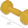 Amazon Basics Neoprene Dumbbell Hand Weights for Exercise and Muscle Toning