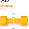 CAP Barbell Neoprene Dumbbell Weights Pairs & Sets | Multiple Colors