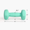 68934939d22ec2cdb47bdcf9f225d408cf3ba16fcb439269455a5.jpg LIONSCOOL Set of 2 Neoprene Coated Dumbbell Hand Weights, Anti-Slip and Anti-Roll Hex Dumbbells in Pair for Strength Training, Resistance Training