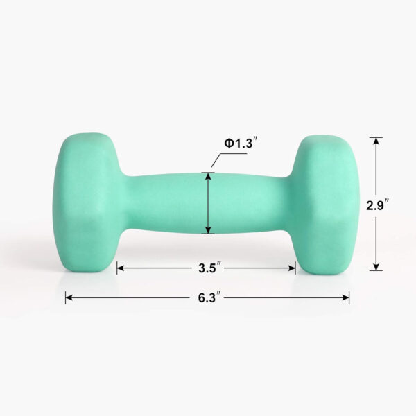 68934939d22ec2cdb47bdcf9f225d408cf3ba16fcb439269455a5.jpg LIONSCOOL Set of 2 Neoprene Coated Dumbbell Hand Weights, Anti-Slip and Anti-Roll Hex Dumbbells in Pair for Strength Training, Resistance Training