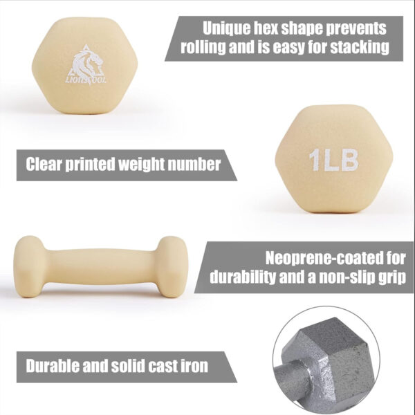 689349402f590ff952e3e70933ca2822efb24aac64cebfc932fcc.jpg LIONSCOOL Set of 2 Neoprene Coated Dumbbell Hand Weights, Anti-Slip and Anti-Roll Hex Dumbbells in Pair for Strength Training, Resistance Training